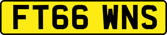FT66WNS