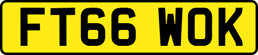 FT66WOK