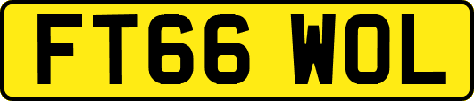 FT66WOL