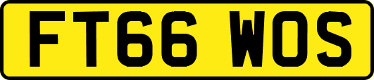 FT66WOS