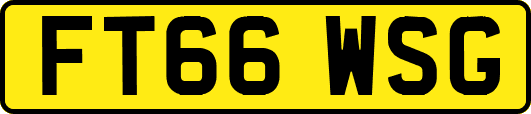 FT66WSG