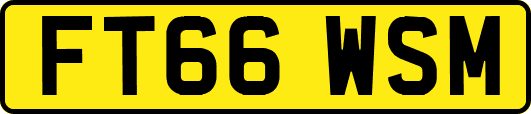 FT66WSM