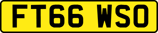 FT66WSO
