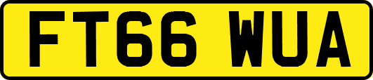 FT66WUA