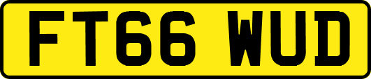 FT66WUD