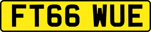 FT66WUE