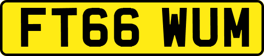 FT66WUM
