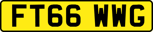 FT66WWG
