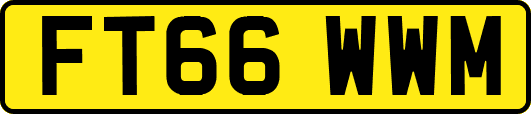 FT66WWM