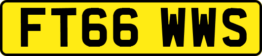 FT66WWS