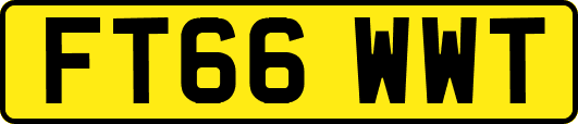 FT66WWT