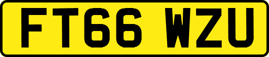 FT66WZU