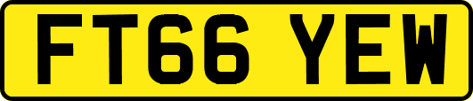 FT66YEW