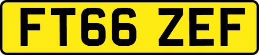 FT66ZEF