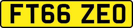 FT66ZEO