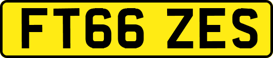 FT66ZES