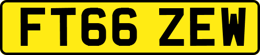 FT66ZEW