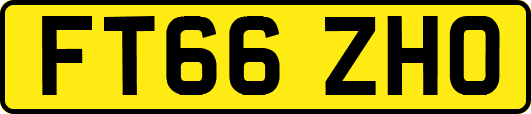 FT66ZHO
