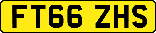 FT66ZHS