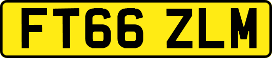FT66ZLM