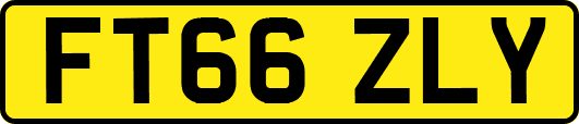 FT66ZLY