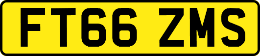FT66ZMS