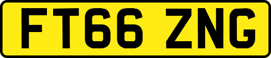FT66ZNG