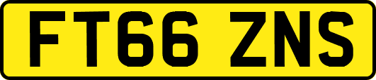 FT66ZNS