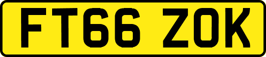 FT66ZOK