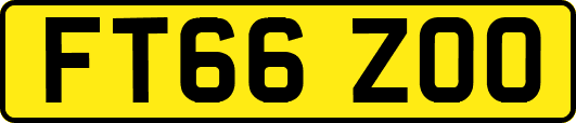 FT66ZOO