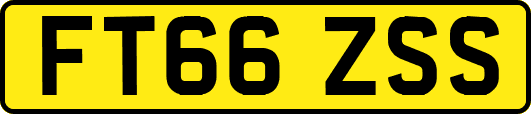 FT66ZSS
