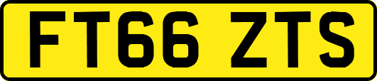 FT66ZTS
