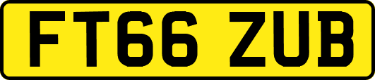 FT66ZUB