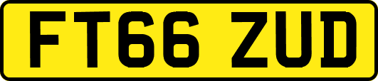 FT66ZUD
