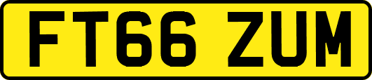 FT66ZUM
