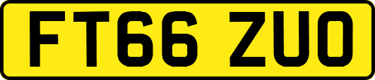 FT66ZUO