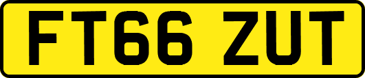 FT66ZUT