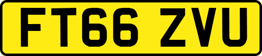 FT66ZVU