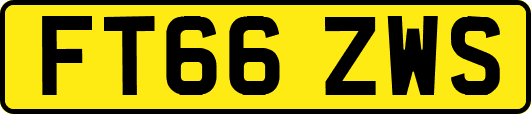 FT66ZWS