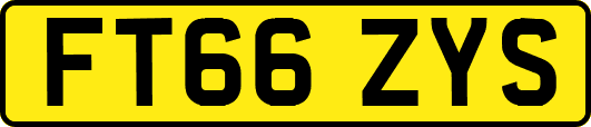 FT66ZYS