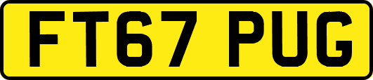 FT67PUG