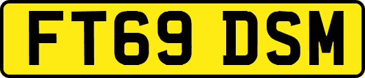 FT69DSM