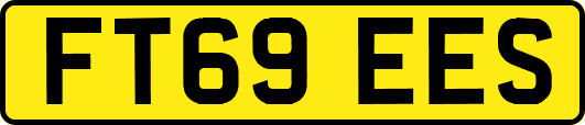 FT69EES