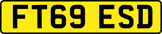 FT69ESD