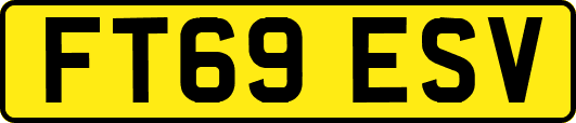 FT69ESV
