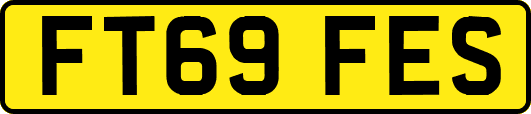 FT69FES