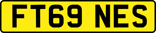 FT69NES