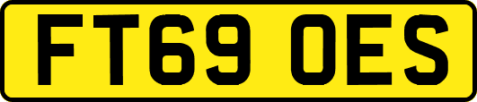 FT69OES