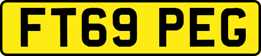 FT69PEG