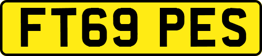 FT69PES